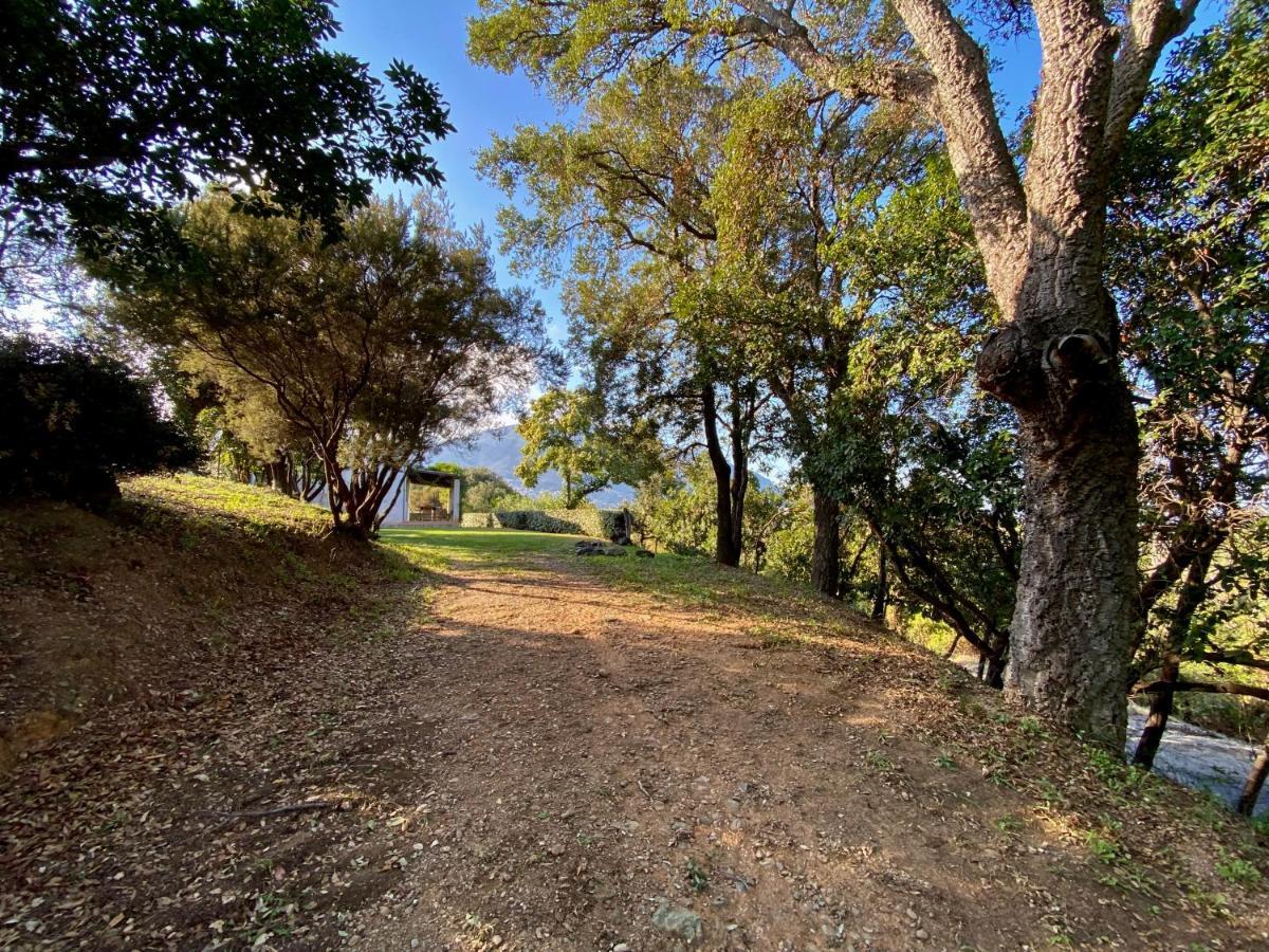 Villa vue mer dans nature protégée, plage à 1,5 km Cervione Exterior foto